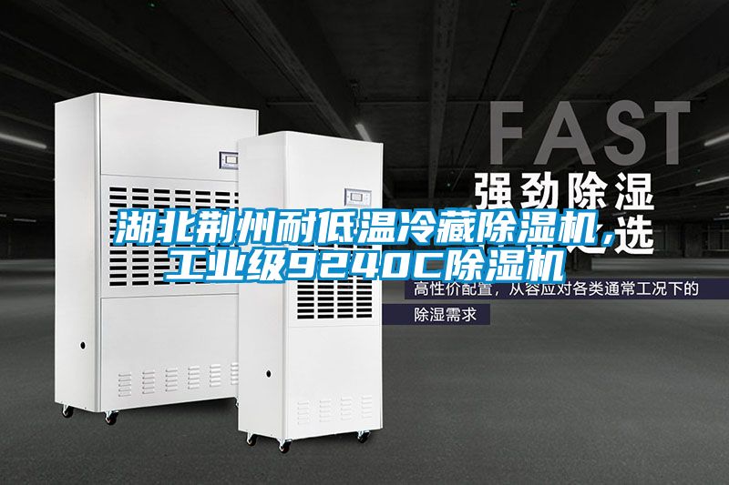 湖北荊州耐低溫冷藏除濕機(jī)，工業(yè)級9240C除濕機(jī)