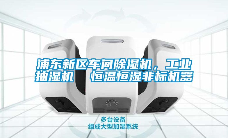 浦東新區(qū)車間除濕機，工業(yè)抽濕機  恒溫恒濕非標機器