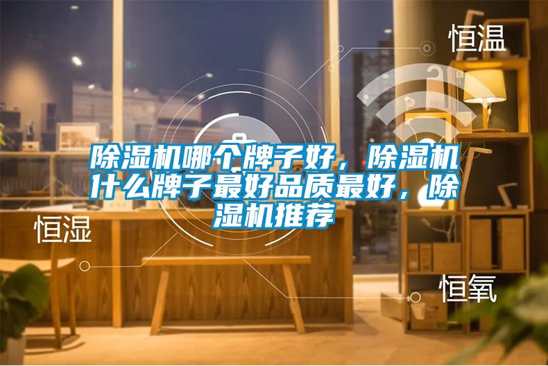 除濕機(jī)哪個(gè)牌子好，除濕機(jī)什么牌子最好品質(zhì)最好，除濕機(jī)推薦