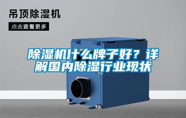 除濕機(jī)什么牌子好？詳解國(guó)內(nèi)除濕行業(yè)現(xiàn)狀