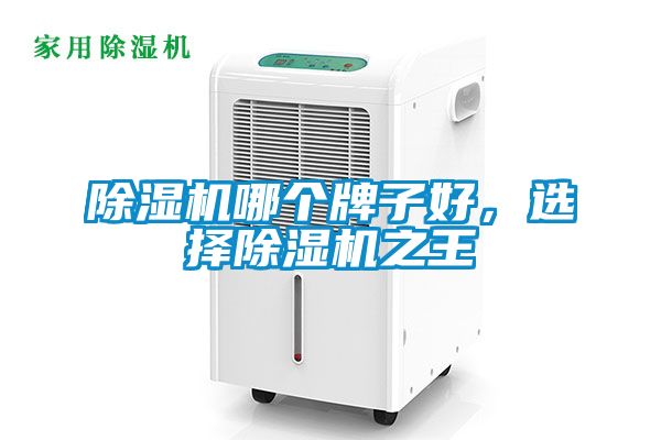 除濕機(jī)哪個(gè)牌子好，選擇除濕機(jī)之王