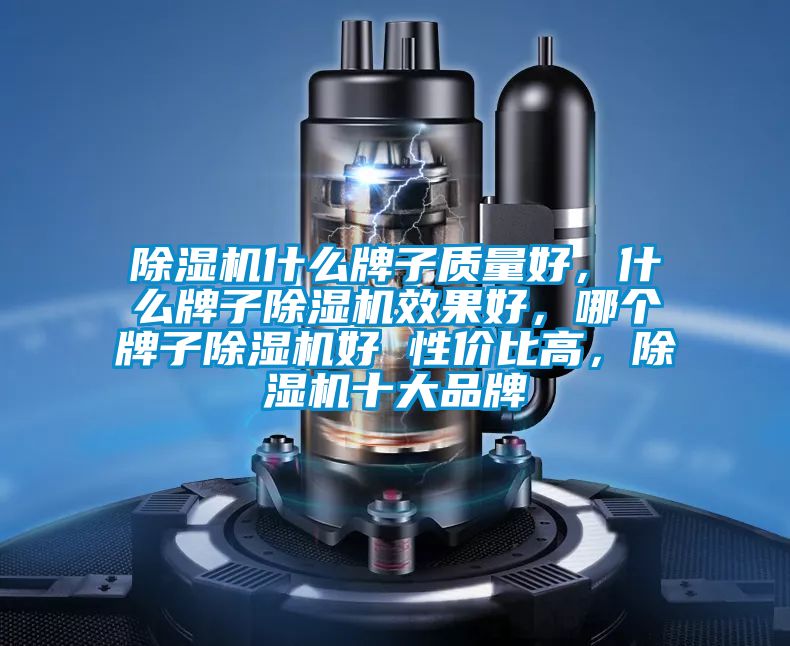 除濕機(jī)什么牌子質(zhì)量好，什么牌子除濕機(jī)效果好，哪個(gè)牌子除濕機(jī)好 性?xún)r(jià)比高，除濕機(jī)十大品牌
