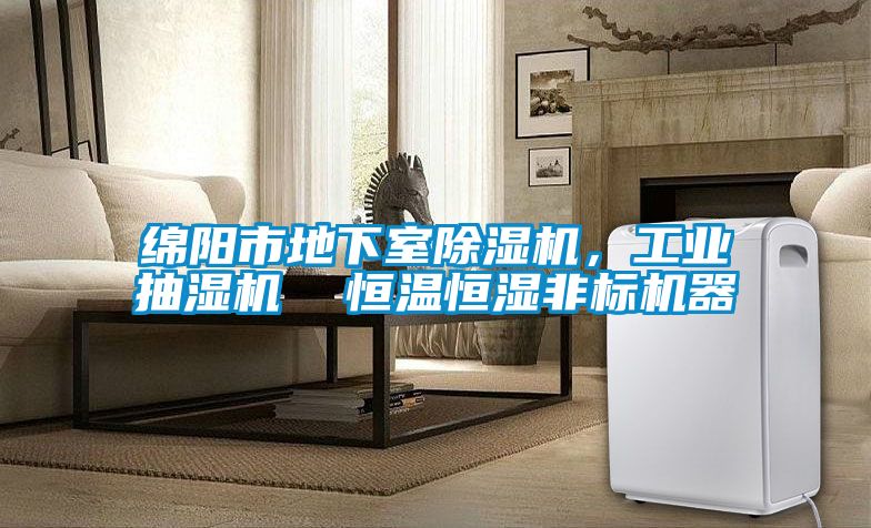 綿陽(yáng)市地下室除濕機(jī)，工業(yè)抽濕機(jī)  恒溫恒濕非標(biāo)機(jī)器