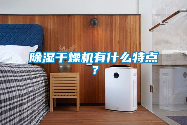 除濕干燥機(jī)有什么特點(diǎn)？