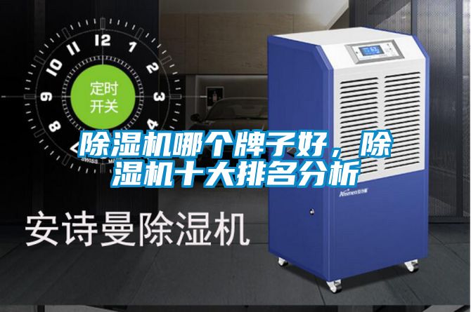 除濕機(jī)哪個(gè)牌子好，除濕機(jī)十大排名分析