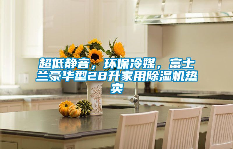 超低靜音，環(huán)保冷媒，富士蘭豪華型28升家用除濕機(jī)熱賣