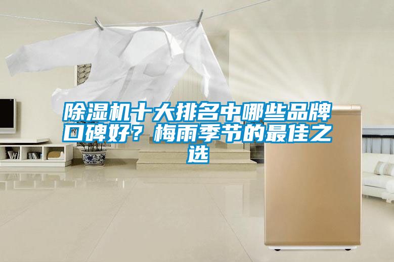 除濕機十大排名中哪些品牌口碑好？梅雨季節(jié)的最佳之選