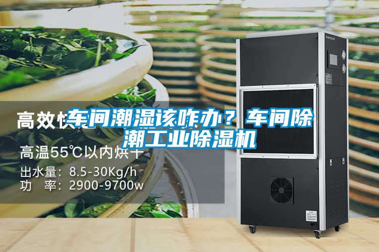 車間潮濕該咋辦？車間除潮工業(yè)除濕機(jī)