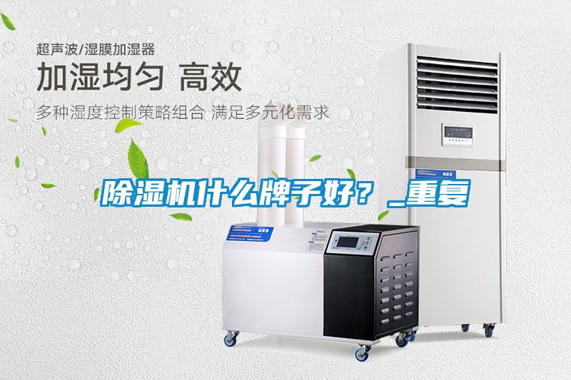 除濕機(jī)什么牌子好？_重復(fù)