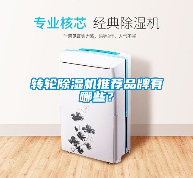 轉(zhuǎn)輪除濕機(jī)推薦品牌有哪些？