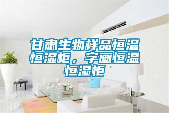 甘肅生物樣品恒溫恒濕柜，字畫(huà)恒溫恒濕柜