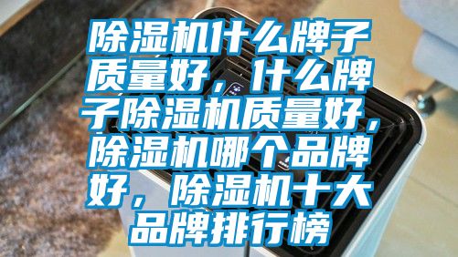 除濕機(jī)什么牌子質(zhì)量好，什么牌子除濕機(jī)質(zhì)量好，除濕機(jī)哪個(gè)品牌好，除濕機(jī)十大品牌排行榜