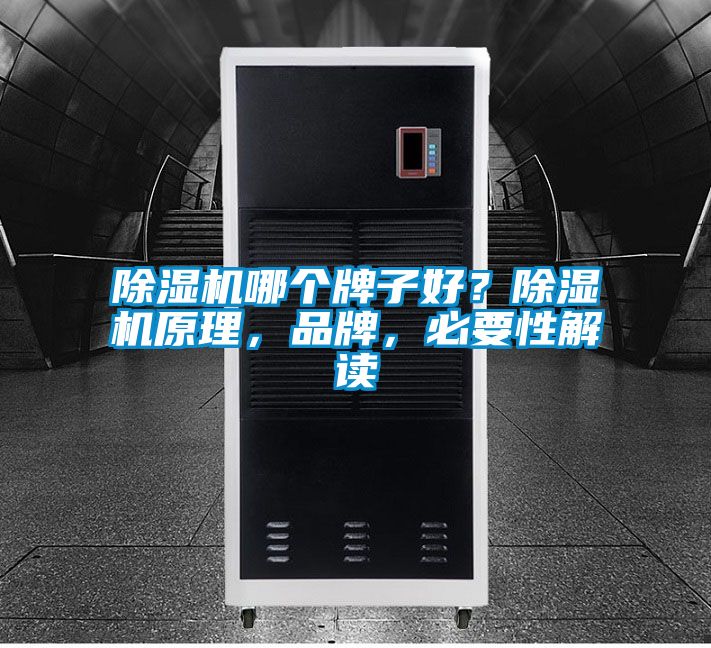 除濕機(jī)哪個牌子好？除濕機(jī)原理，品牌，必要性解讀
