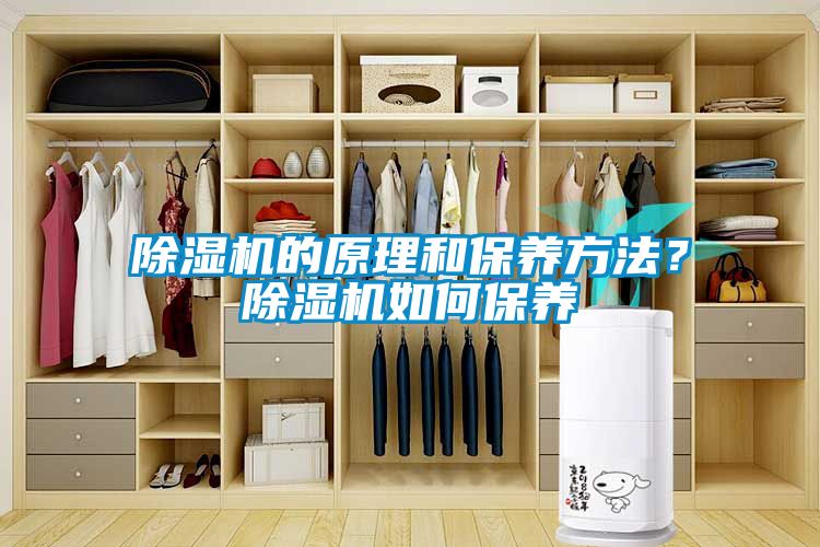 除濕機(jī)的原理和保養(yǎng)方法？除濕機(jī)如何保養(yǎng)