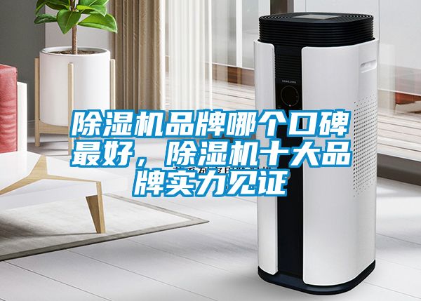 除濕機(jī)品牌哪個口碑最好，除濕機(jī)十大品牌實(shí)力見證