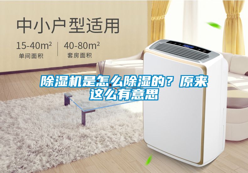 除濕機是怎么除濕的？原來這么有意思