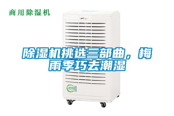 除濕機挑選三部曲，梅雨季巧去潮濕