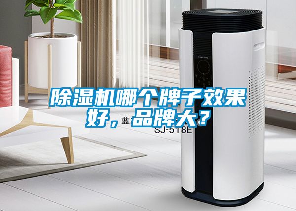 除濕機(jī)哪個(gè)牌子效果好，品牌大？