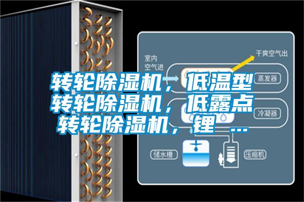 轉(zhuǎn)輪除濕機(jī)，低溫型轉(zhuǎn)輪除濕機(jī)，低露點(diǎn)轉(zhuǎn)輪除濕機(jī)，鋰 ...