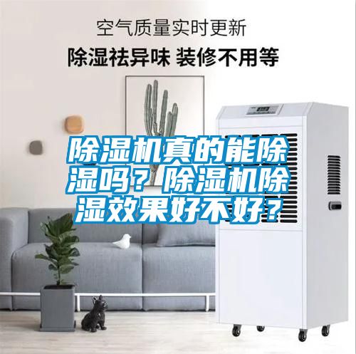除濕機(jī)真的能除濕嗎？除濕機(jī)除濕效果好不好？