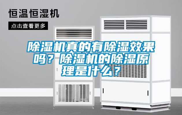 除濕機真的有除濕效果嗎？除濕機的除濕原理是什么？