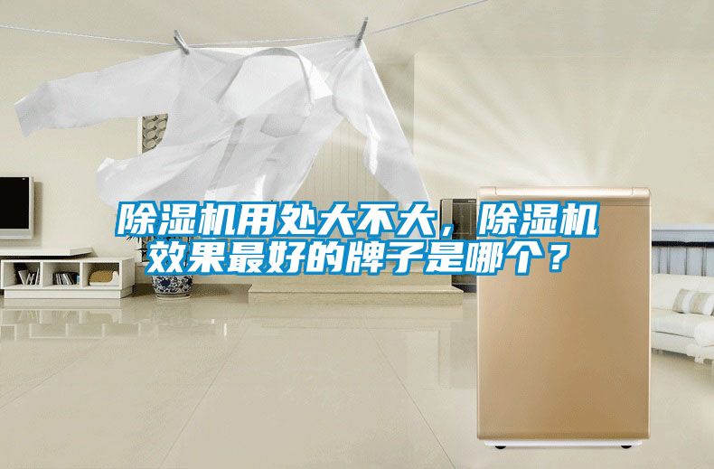 除濕機(jī)用處大不大，除濕機(jī)效果最好的牌子是哪個(gè)？