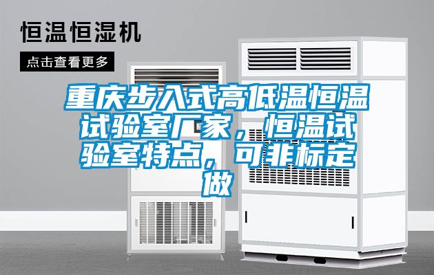 重慶步入式高低溫恒溫試驗(yàn)室廠家，恒溫試驗(yàn)室特點(diǎn)，可非標(biāo)定做