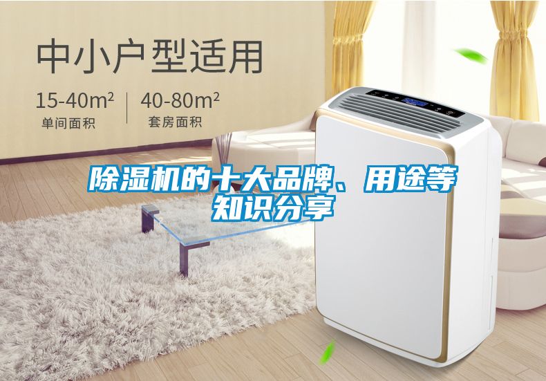 除濕機的十大品牌、用途等知識分享