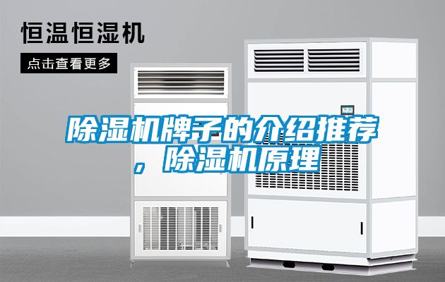 除濕機(jī)牌子的介紹推薦，除濕機(jī)原理
