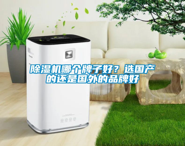 除濕機(jī)哪個(gè)牌子好？選國產(chǎn)的還是國外的品牌好