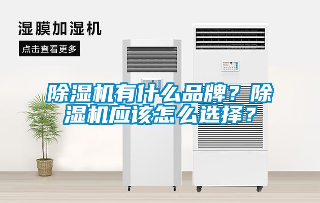 除濕機有什么品牌？除濕機應該怎么選擇？