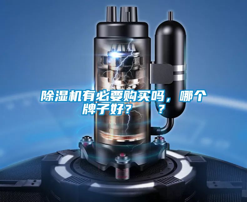 除濕機有必要購買嗎，哪個牌子好？  ？