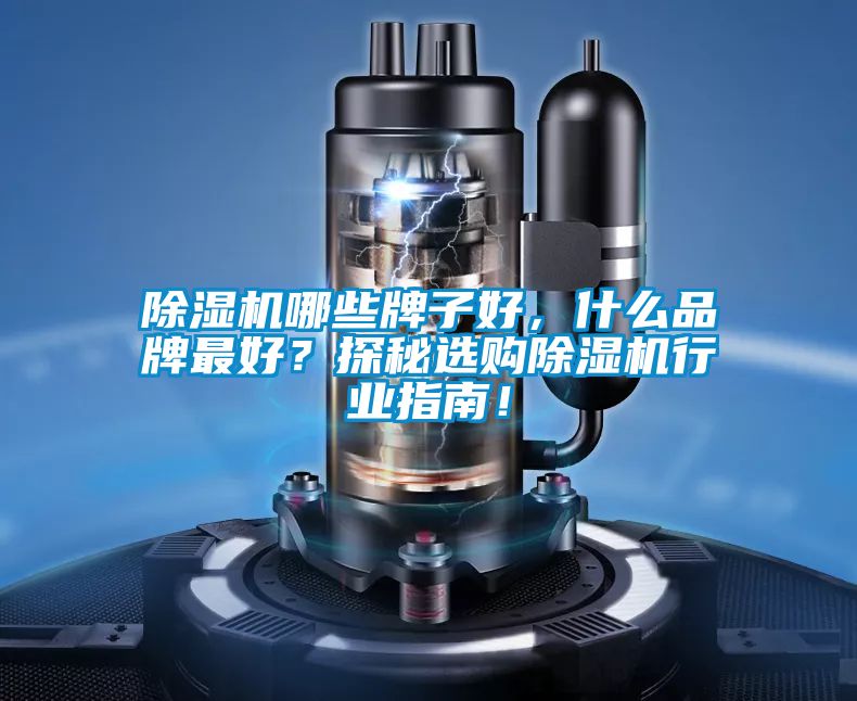 除濕機(jī)哪些牌子好，什么品牌最好？探秘選購除濕機(jī)行業(yè)指南！