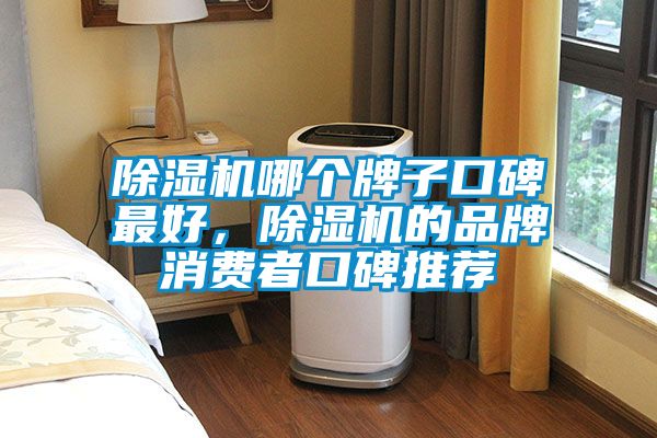 除濕機哪個牌子口碑最好，除濕機的品牌消費者口碑推薦