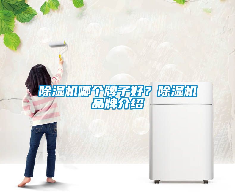 除濕機(jī)哪個(gè)牌子好？除濕機(jī)品牌介紹