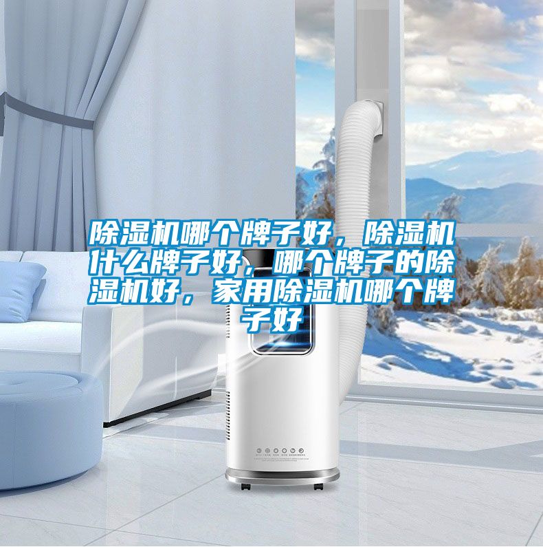 除濕機哪個牌子好，除濕機什么牌子好，哪個牌子的除濕機好，家用除濕機哪個牌子好