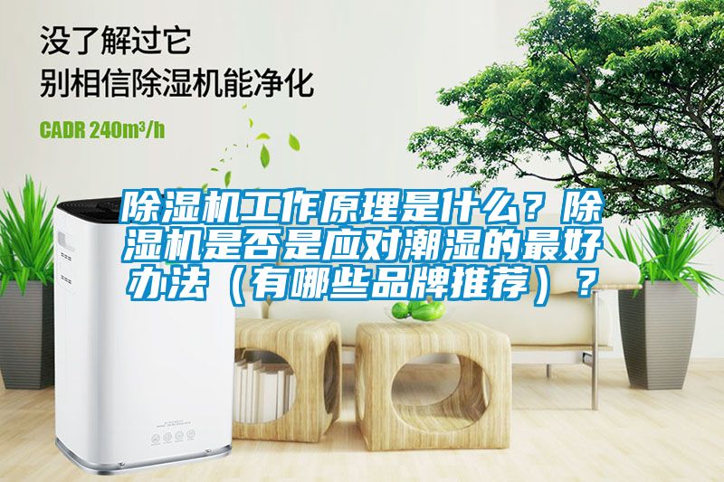 除濕機(jī)工作原理是什么？除濕機(jī)是否是應(yīng)對潮濕的最好辦法（有哪些品牌推薦）？