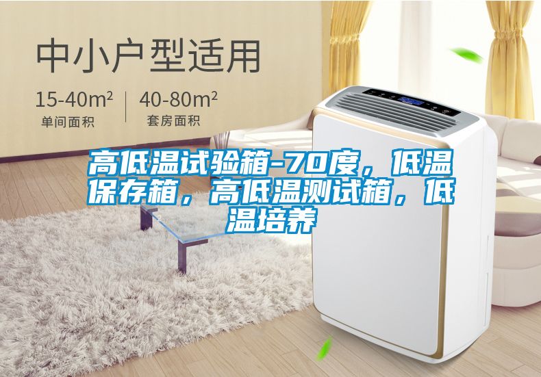 高低溫試驗箱-70度，低溫保存箱，高低溫測試箱，低溫培養(yǎng)
