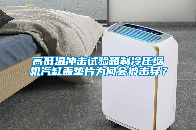 高低溫沖擊試驗箱制冷壓縮機汽缸蓋墊片為何會被擊穿？