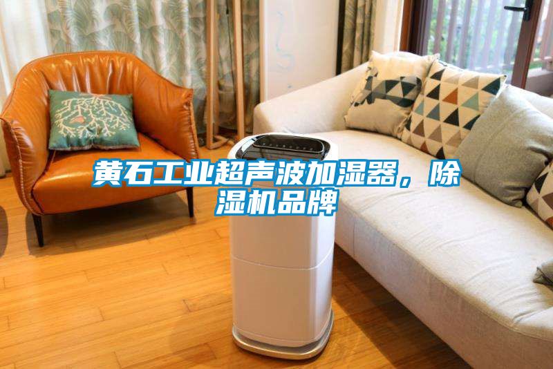 黃石工業(yè)超聲波加濕器，除濕機品牌