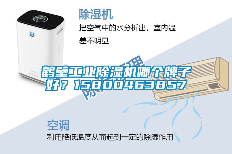 鶴壁工業(yè)除濕機(jī)哪個(gè)牌子好？15800463857