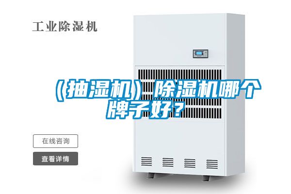 （抽濕機）除濕機哪個牌子好？