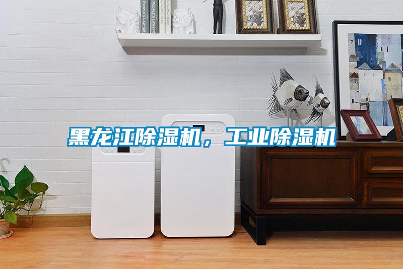 黑龍江除濕機，工業(yè)除濕機