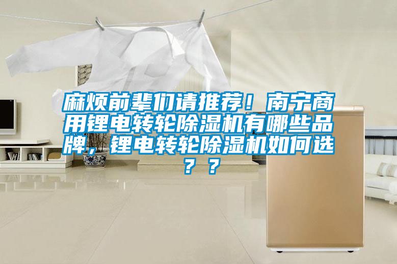 麻煩前輩們請(qǐng)推薦！南寧商用鋰電轉(zhuǎn)輪除濕機(jī)有哪些品牌，鋰電轉(zhuǎn)輪除濕機(jī)如何選？？