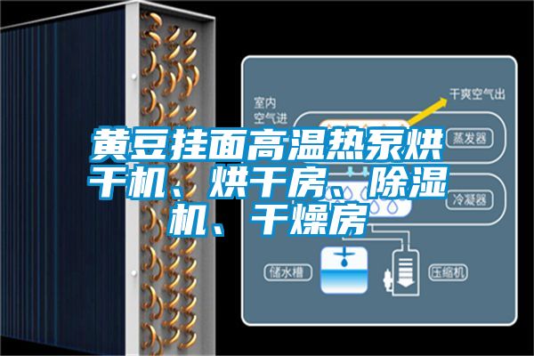 黃豆掛面高溫熱泵烘干機、烘干房、除濕機、干燥房