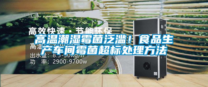 高溫潮濕霉菌泛濫！食品生產車間霉菌超標處理方法