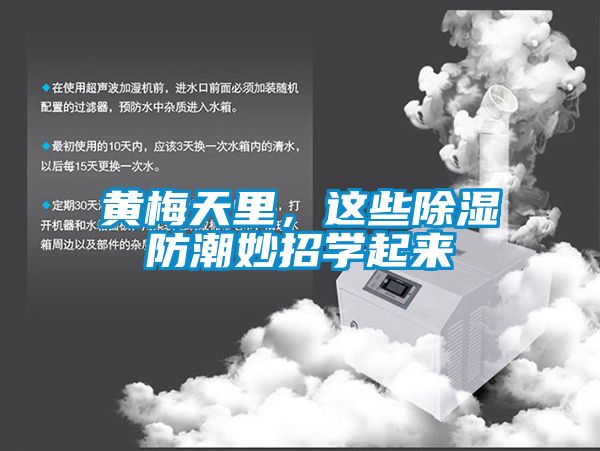 黃梅天里，這些除濕防潮妙招學起來