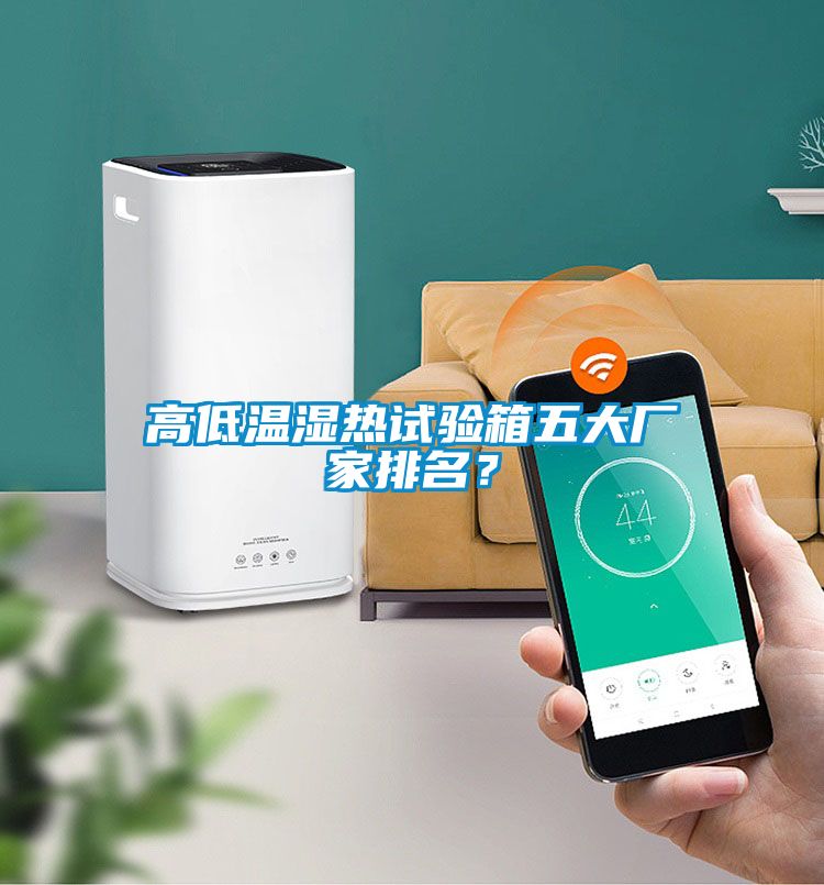 高低溫濕熱試驗(yàn)箱五大廠家排名？